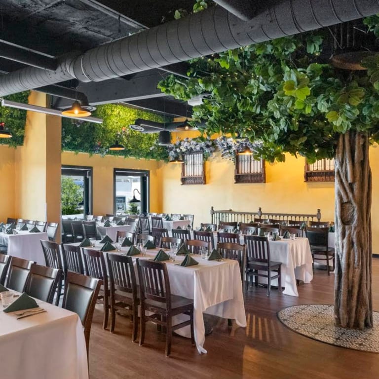 Birthday & Holiday Party Venue Washington DC