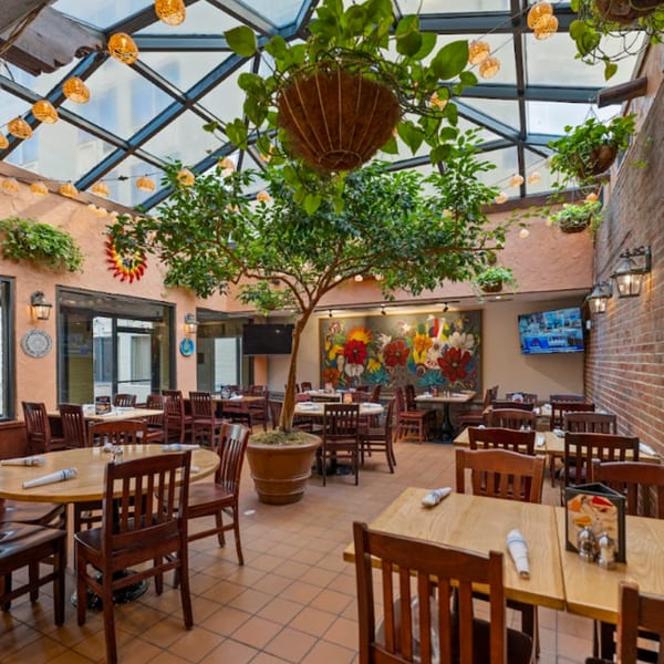 Guapo's Cocina & Bar dining room with a large tree, skylight, and colorful mural.