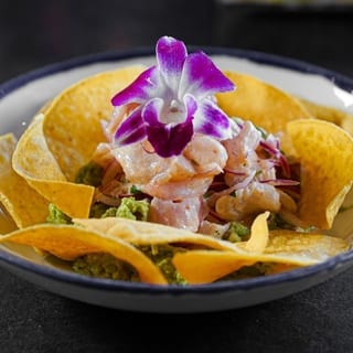 Guacaviche