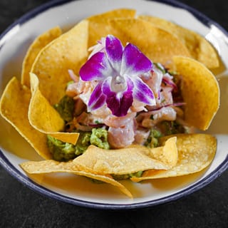 Guacaviche